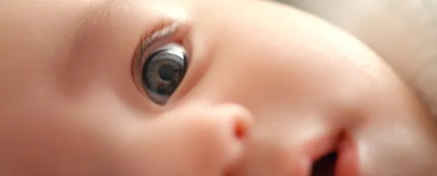 Babies Start Learning Language Earlier Than We Thought